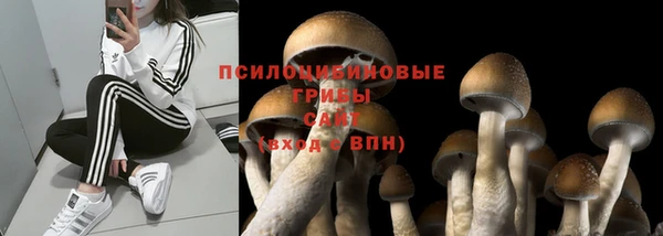 марки nbome Аркадак